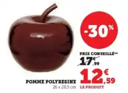 Hyper U Pomme polyresine offre