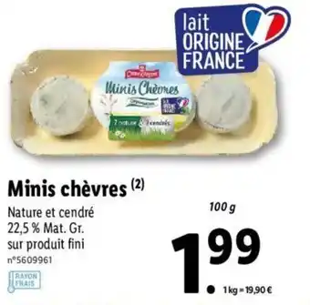 Minis chèvres