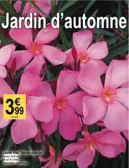 Tridôme Laurier rose "Nerium oleander" offre