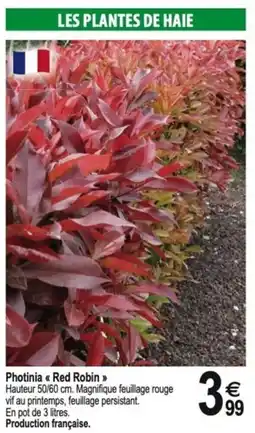 Tridôme Photinia << Red Robin >> offre