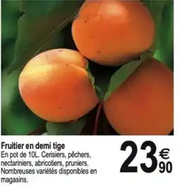 Tridôme Fruitier en demi tige offre