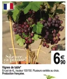 Tridôme Vignes de table offre