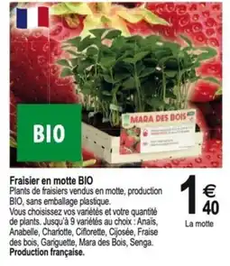 Tridôme Fraisier en motte BIO offre