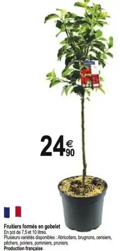Tridôme Fruitiers formés en gobelet offre