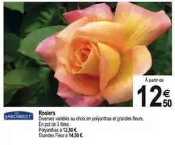 Tridôme JARDIBEST Rosiers offre