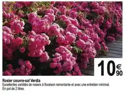 Tridôme Rosier couvre-sol Verdia offre