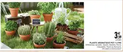 Intermarché Contact Plante aromatique offre