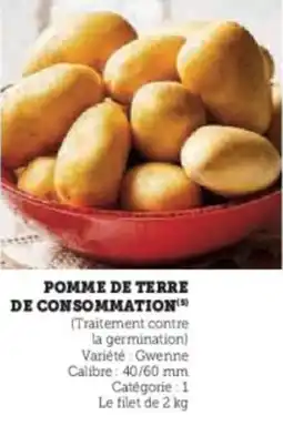 Super U Pomme de terre de consommation offre