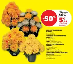 Super U Pot chrysanthemes 9 tetes offre