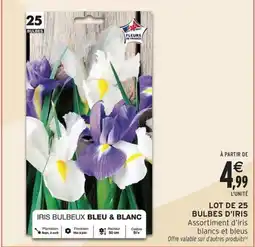 Intermarché Contact Lot de 25 bulbes d'iris offre