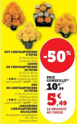Hyper U Pot chrysanthemes 9 tetes offre
