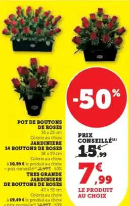 Hyper U Pot de boutons de roses offre