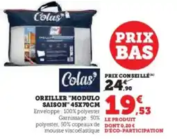 Hyper U Oreiller modulo saison 45x70cm offre