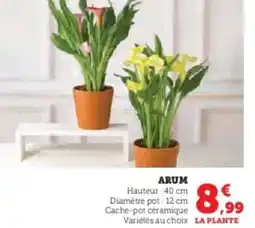 Hyper U Arum offre