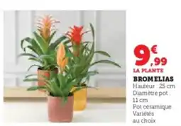 Hyper U Bromelias offre