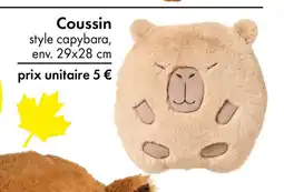 TEDi Coussin offre