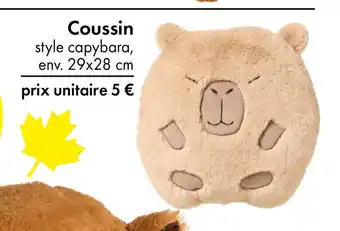 TEDi Coussin offre