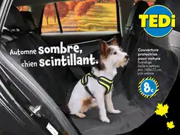 TEDi Couverture protectrice pour voiture offre