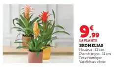Super U Bromelias offre