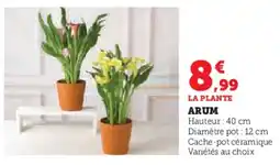 Super U Arum offre