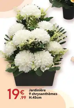 Maxi Bazar Jardinière 9 chrysanthèmes offre