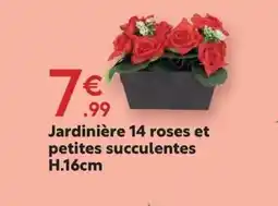 Maxi Bazar Jardinière 14 roses et petites succulentes offre