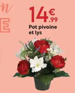 Maxi Bazar Pot pivoine et lys offre