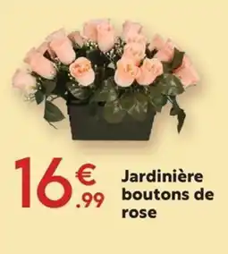 Maxi Bazar Jardinière boutons de rose offre