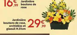 Maxi Bazar Jardinière boutons de rose boutons de rose, orchidées et glaeuil offre