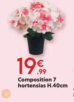 Maxi Bazar Composition 7 hortensias offre