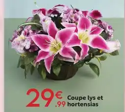 Maxi Bazar Coupe lys et hortensias offre