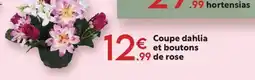 Maxi Bazar Coupe dahlia et boutons de rose offre