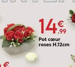 Maxi Bazar Pot cœur roses offre