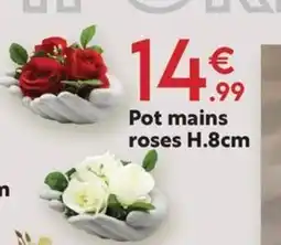 Maxi Bazar Pot cœur roses offre