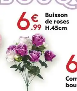 Maxi Bazar Buisson de roses offre