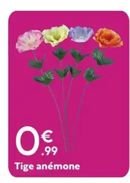 Maxi Bazar Tige anémone offre