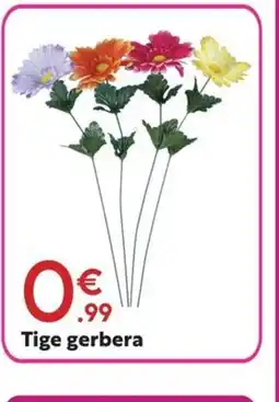 Maxi Bazar Tige gerbera offre
