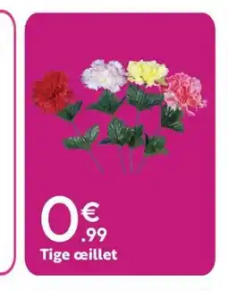 Maxi Bazar Tige œillet offre