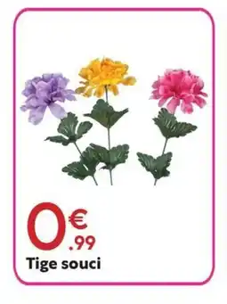 Maxi Bazar Tige souci offre