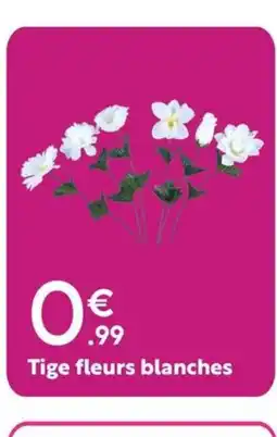 Maxi Bazar Tige fleurs blanches offre