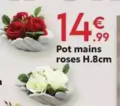 Maxi Bazar Pot mains roses offre