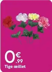 Maxi Bazar Tige ceillet offre