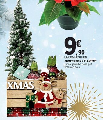 E.Leclerc Composition 2 plantes offre