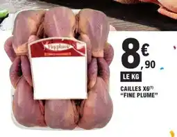 E.Leclerc CAILLES X6 FINE PLUME offre