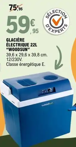 E.Leclerc GLACIÈRE ÉLECTRIQUE 22L “WOODSUN” offre