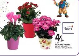 E.Leclerc MIX PLANTES FLEURIES offre