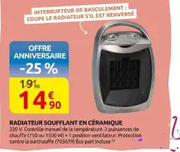 Rural Master Radiateur soufflant en céramique offre