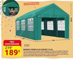 Rural Master BARNUM, TONNELLE OU CARPORT 3 X 6 M offre
