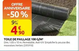 Rural Master Toile de paillage 100 g/m² offre