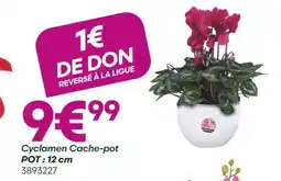 Ma Jardinerie Cyclamen Cache-pot offre